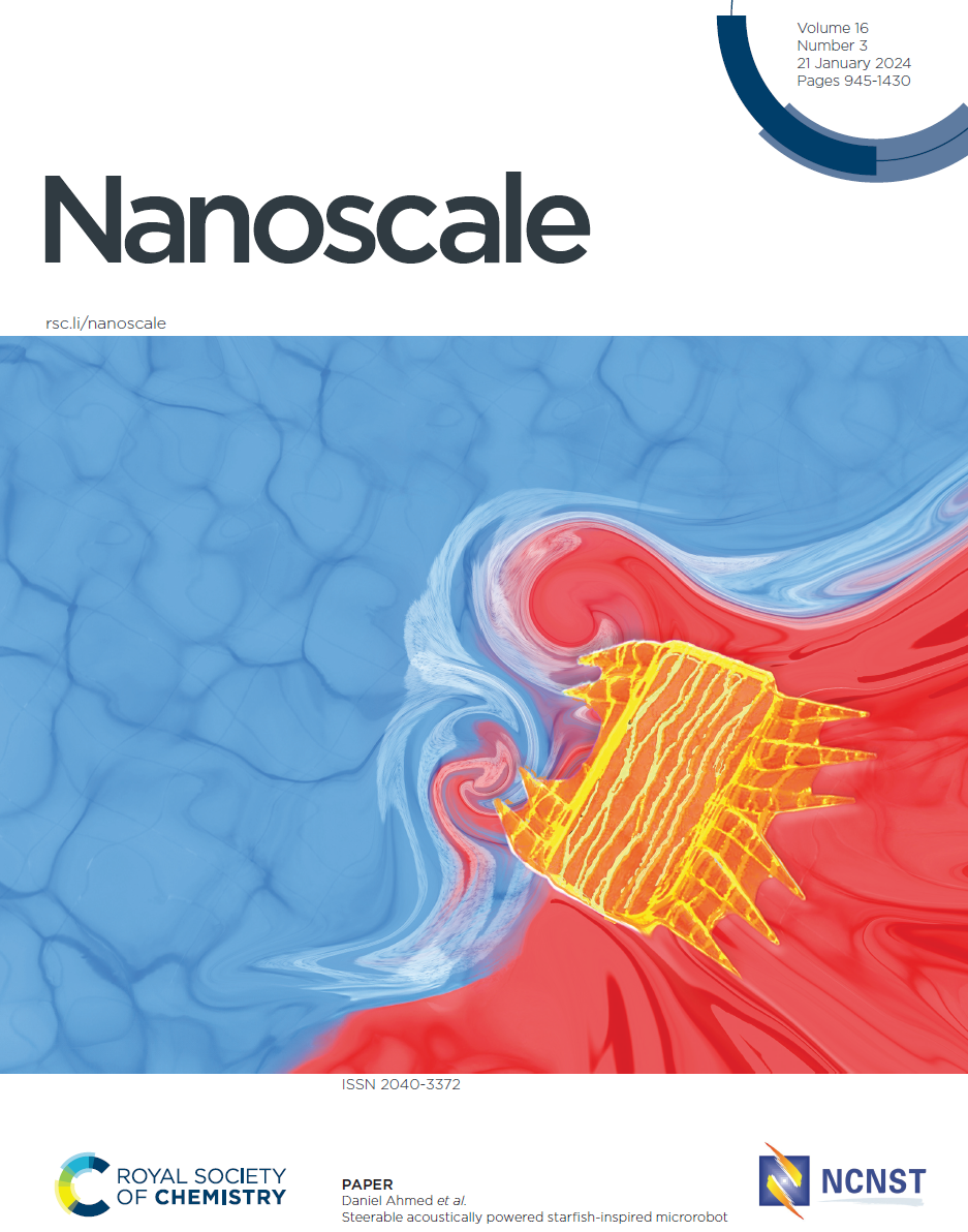 Nanoscale_cover